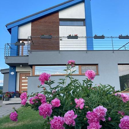 Modry Dom Apartment Spisske Bystre Exterior photo